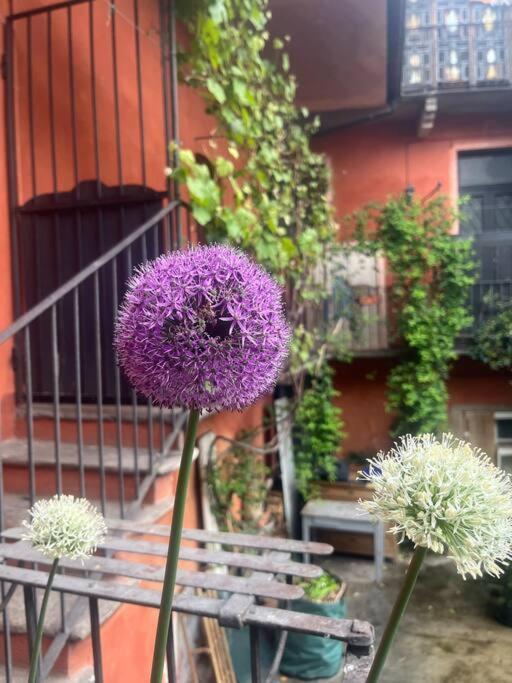 Come A Casa Castelletto sopra Ticino Exterior foto